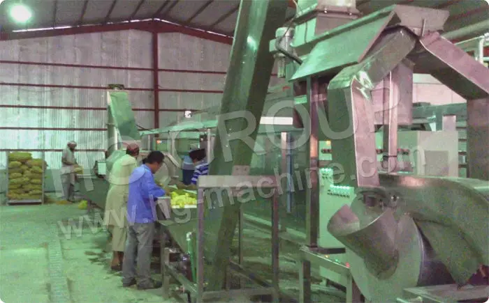 Full Automatic Frozen french fries machinery/French fry cutter equipment/Frozen french fries KFC High Productivity