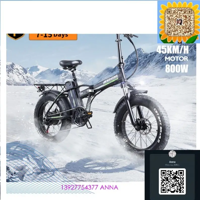 Europe Warehouse 800 Watts Electric Bicycle Aluminum AlloyFrame EBS Electric Bike For Adult