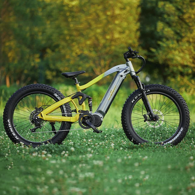 Clearance full suspension electric mountain bike mid motor 1000w bafang e mountain bicycle kenda bici shimano beach cruiser