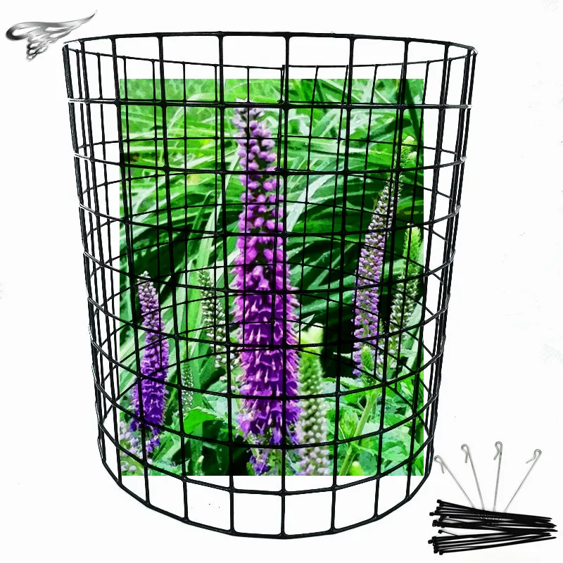 Waterproof Metal Plant Cages Keep Animals Out galvanized decorative welded tree protection metal fence welded metal tree guard