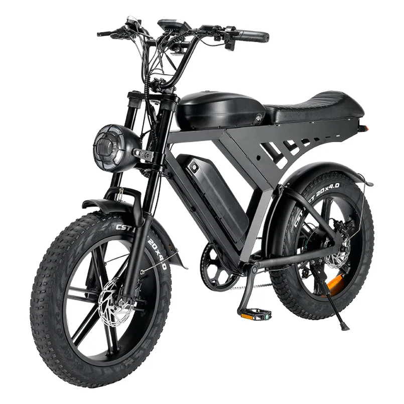 Dropshipping Double batteries electric fattire bike 1000w China manufacturer 48v 30ah removable battery electric bicycle fatbike