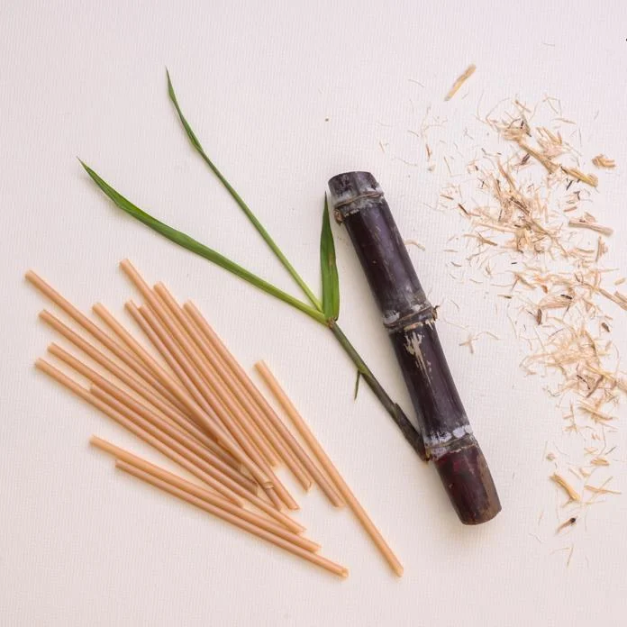 Disposable Straws Compostable Sugarcane Straws PLA Straw