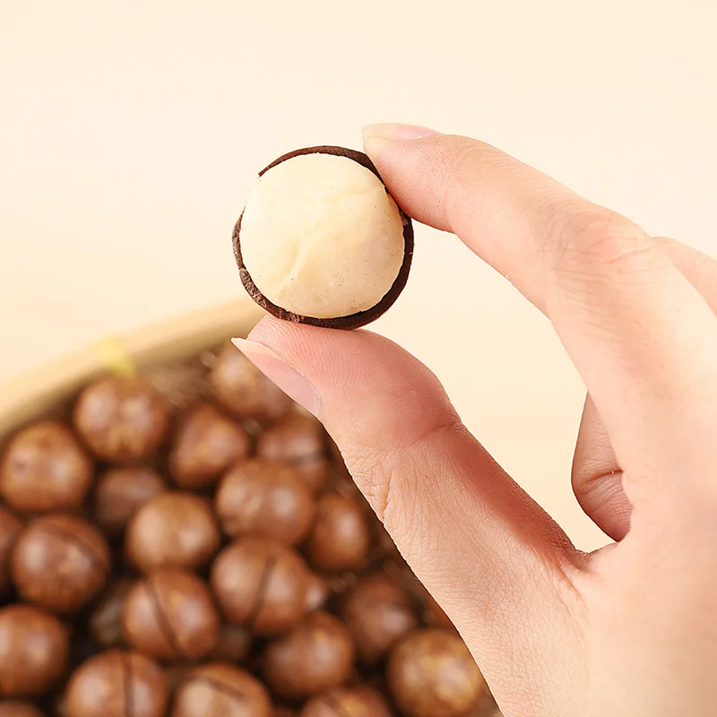 Cheap Wholesale Price Dry Roasted Macadamia Nuts With Own Planting Base and Processing Factory Raw Macadamia Nut for Shell