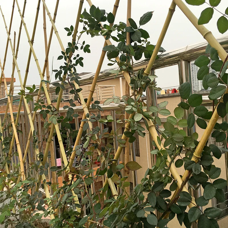 Natural Handmade Expandable Bamboo Raw Materials Fence Bamboo Garden fencing roll Bamboo Plant Fence