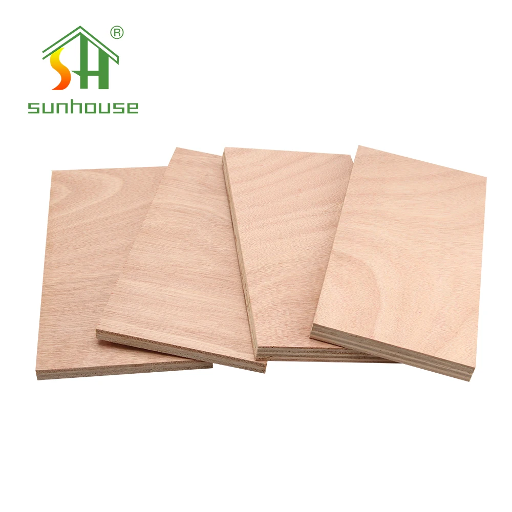 9mm/12mm/18mm Raw Eucalyptus Plywood 4x8 Plywood Cheap Laminated Plywood Board for Construction