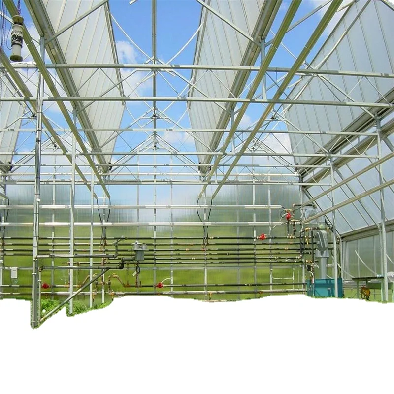 polycarbonate hollow sheet for greenhouse / hollow polycarbonate sheet for garden greenhouse