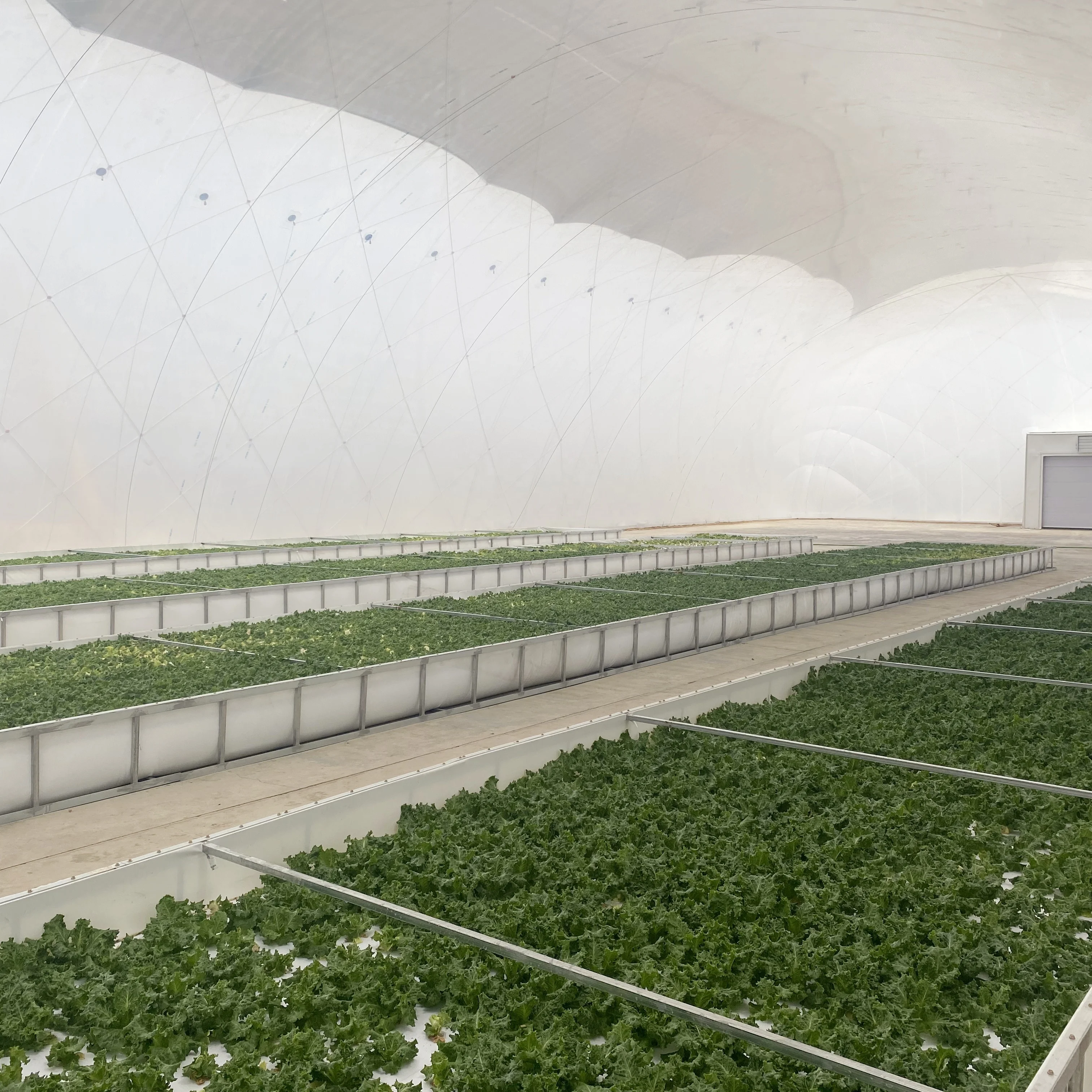 Quality Air dome Air membrane agricultural greenhouse Pneumatic membrane structure  for agriculture