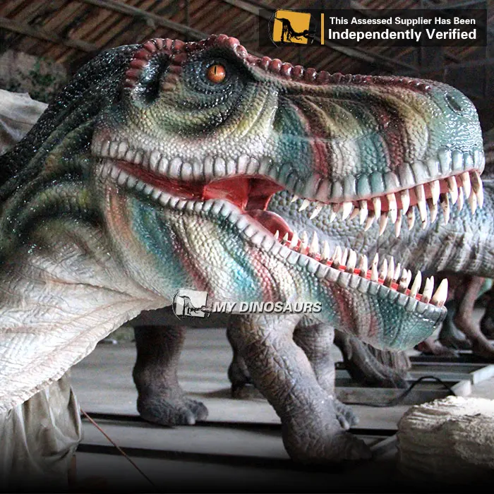 Z MY DINO AD-048 Outdoor Attractive Dinosaur Head Large Statues For Photograph