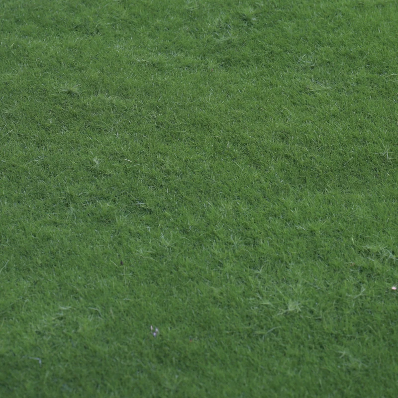 wholesale hot selling artificial peat moss mat wall panel art EVA material artificial green moss wall panels