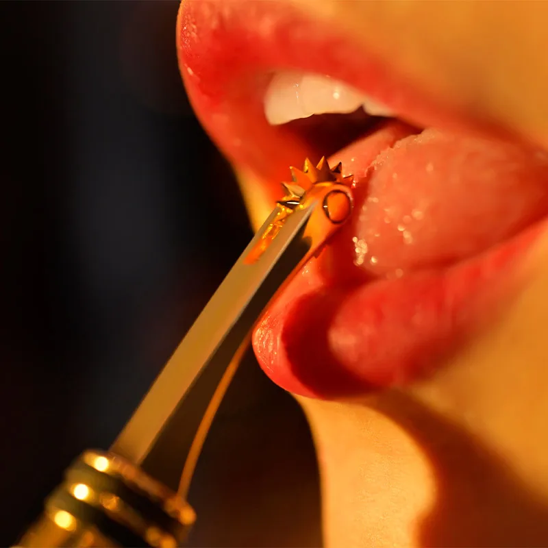 OEM ODM Factory Wholesale BDSM Sex Metal Sex Pinwheel Steel Wartenberg Pinwheel