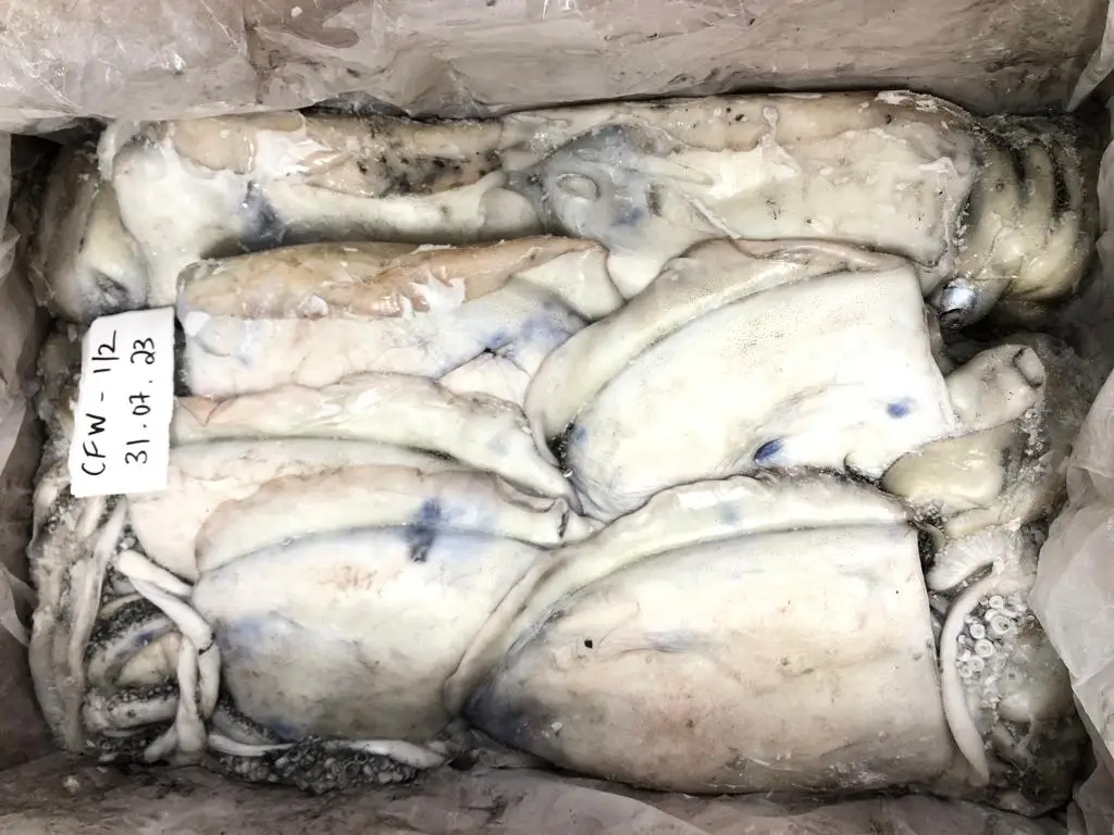 Лучшая цена целая круглая очищенная замороженная каракатица