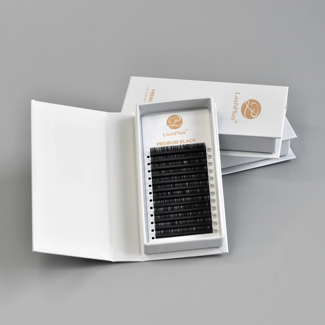 LashPlus private label eyelash extension supplies C CC D 0.03 0.05 0.07 matte eyelash extension trays