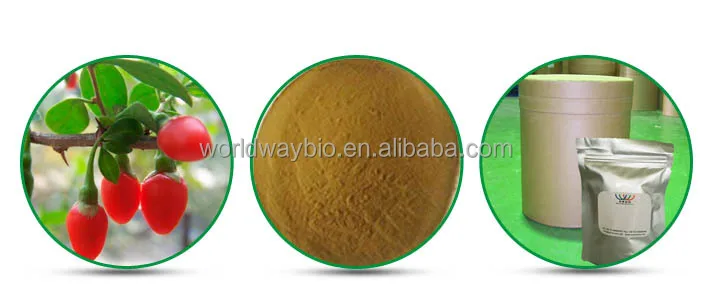 Wholesale Organic Goji Berry Extract Powder Red Wolfberry Supplement Fruit Extract Food Grade GMP Certified Packaged in Bag Drum