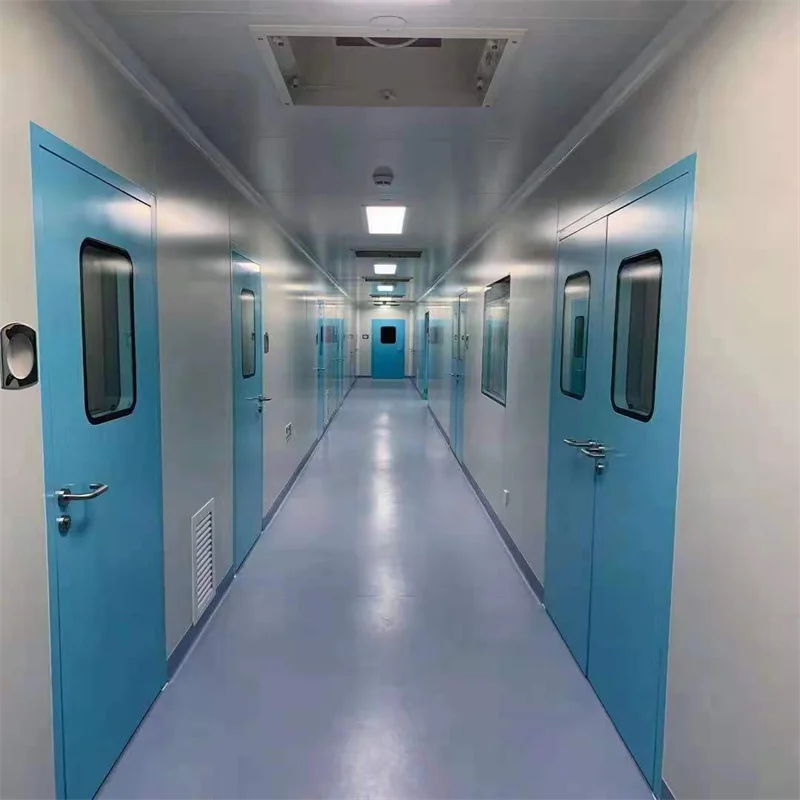 Customized Class 10000 Construction Wool Rock Laboratory Ceiling Fireproof Design Panels Hospital Workshop Iso 8 Dust Free Room