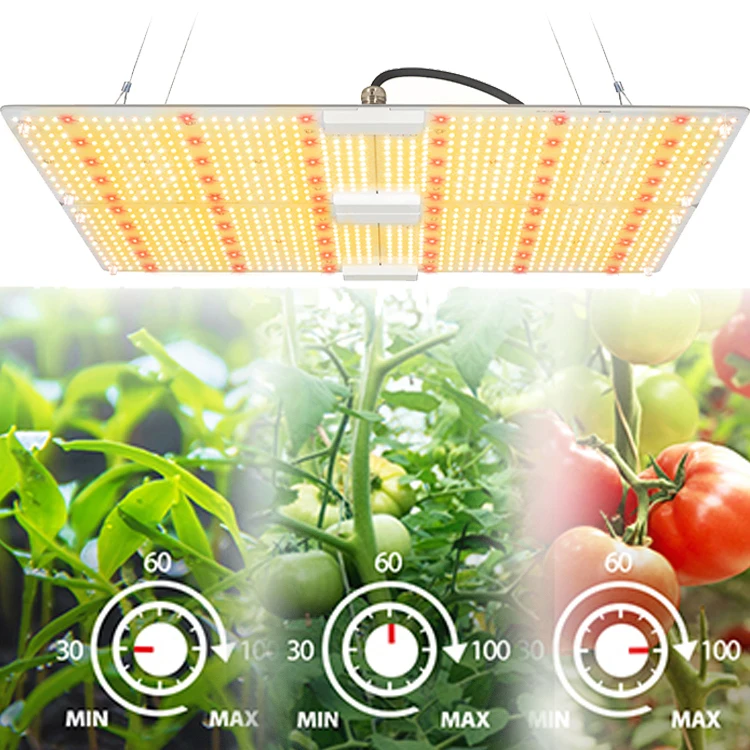 
Shenzhen 2021 best commercial led grow light dimmable lights full spectrum uv ir indoor hydroponic lm301h led grow light 