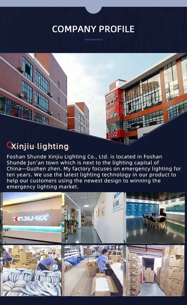 led emergency battery back up emergency light AC100-200V