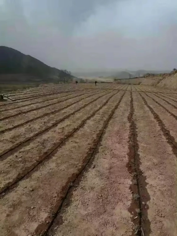 1 Ha 2Ha 5Ha 10Ha Drip irrigation Irrigation design complete kit Farm Automatic Drip Irrigation Systems