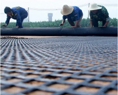 Fiberglass Geogrid Civil Engineering Glass Fiber Mesh Basalt Reinforcing Fiberglass Geogrid