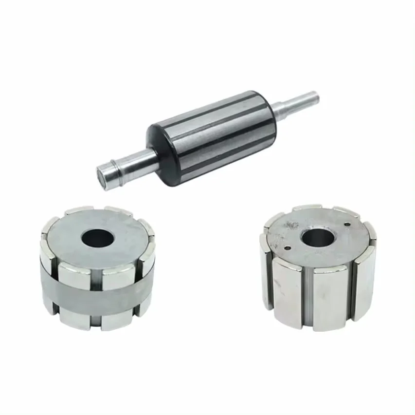 Custom Wholesale High-Speed Permanent Magnetic Rotor Stator Power Tools Magnet for Motor Car Auto Brake Parts