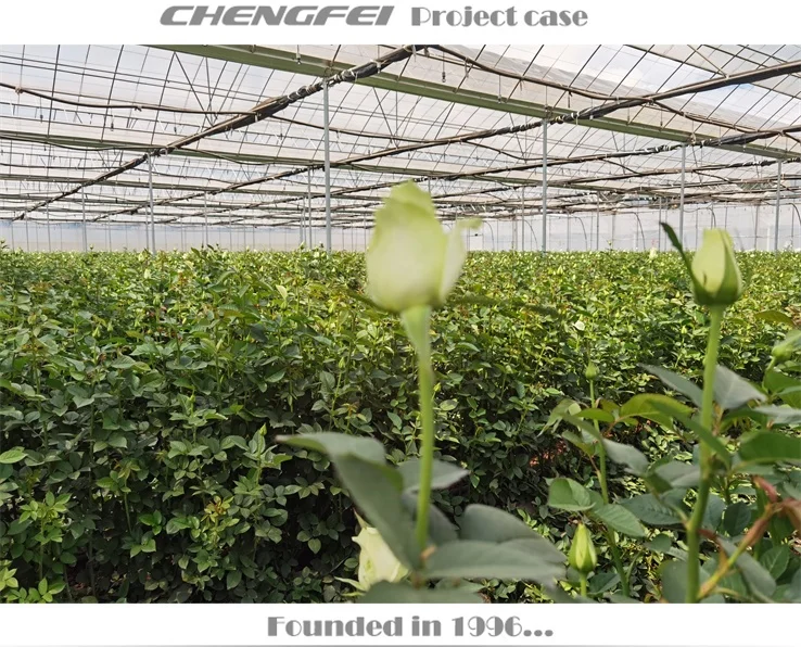 Multi-dpan plastic blue etfe manual roll film civer flower vegetable commercial agricultural greenhouse supplier for sale