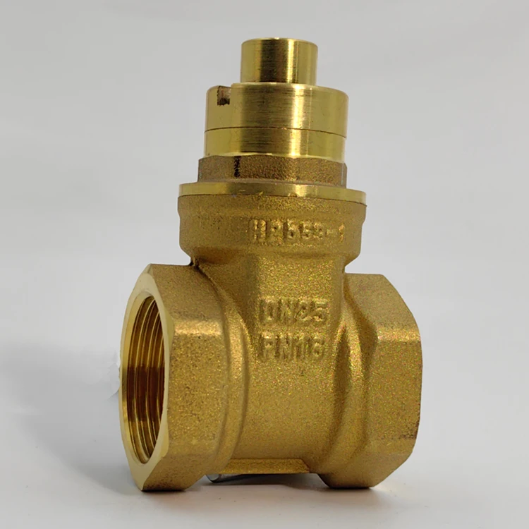 Water Meter Front Anti-theft Locking gate Valve, with Key Brass Magnetic gate valve