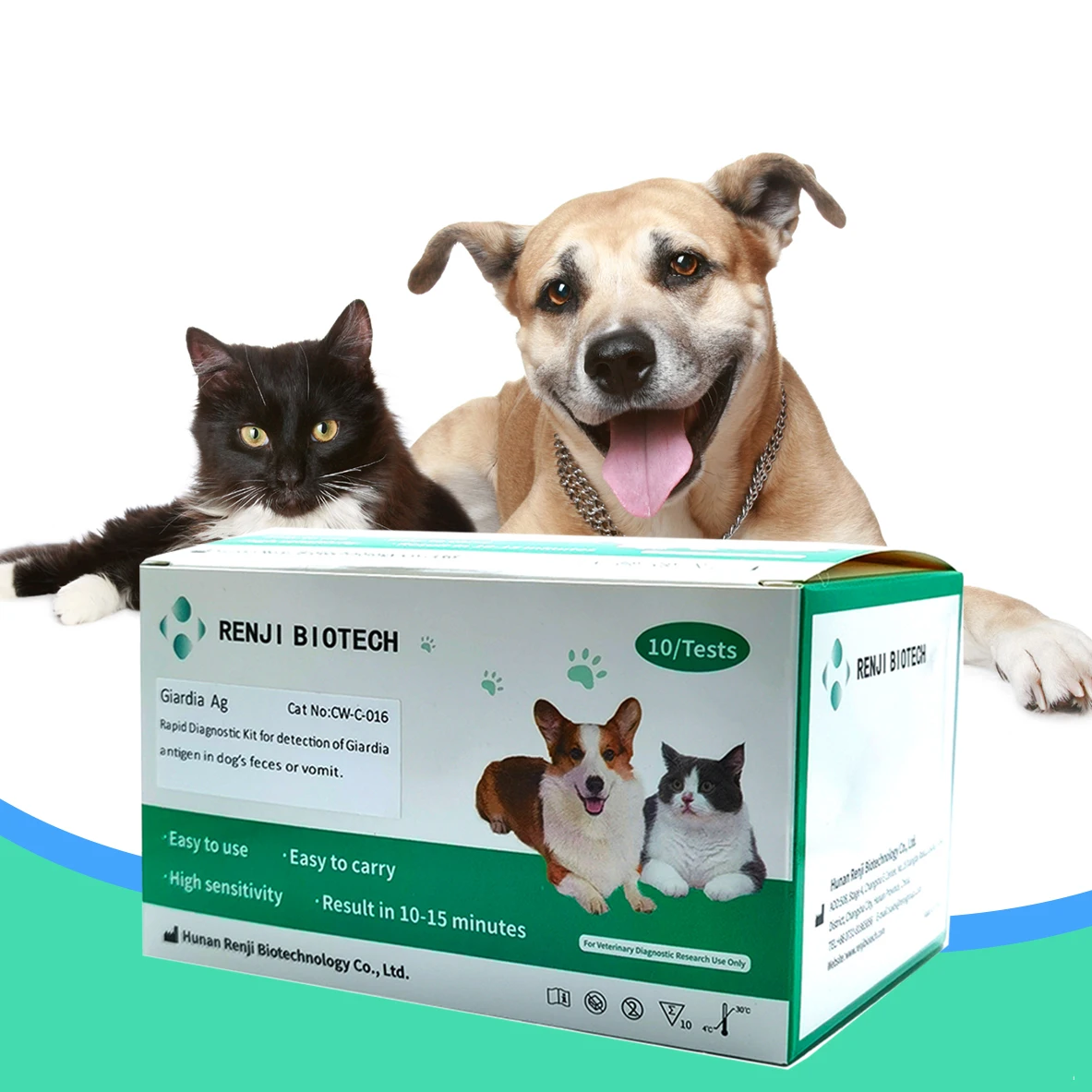 Rapid rabies antigen test kit for dog