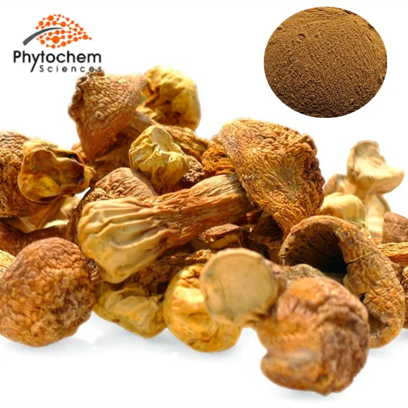 
Pure Natural Best Price Agaricus Blazei murrill powder Agaricus Blazei mushroom extract 