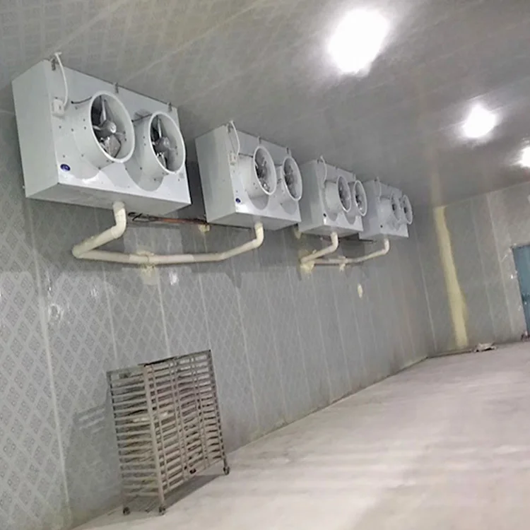 
onion cold room fresh cold storage cooler cold project Industrial refrigerator freezer cooling system 