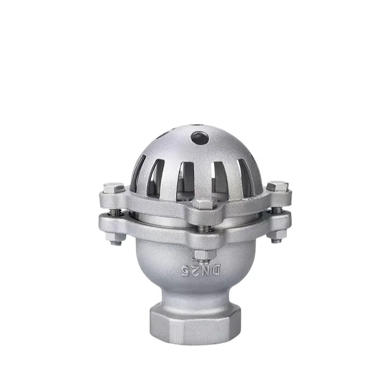 H12W Stainless Steel Foot Valve Bottom Valve Thread Check Valve for General Application