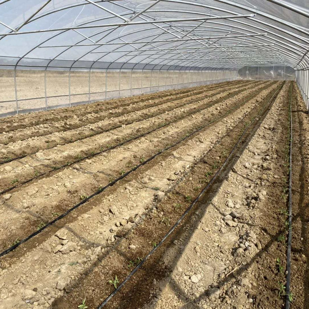 Tunnel 10 * 50 * 4.5m greenhouse kit with hanging rod simple agricultural plastic film low-cost greenhouse