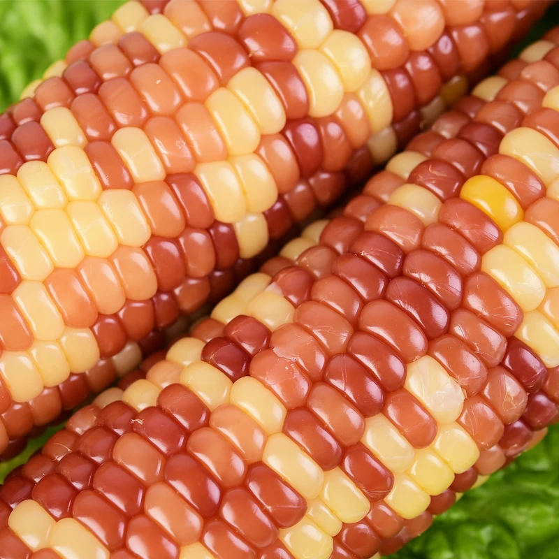 Hot Sale Chinese Fresh Waxy Corn with Mottled Color