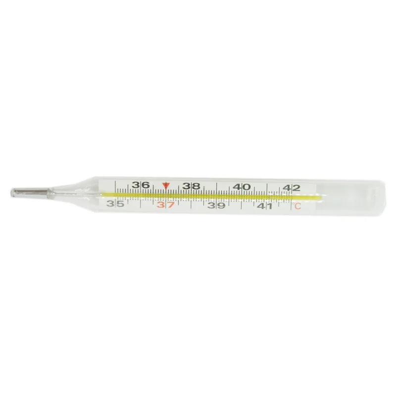 Clinical glass mercury thermometer big size