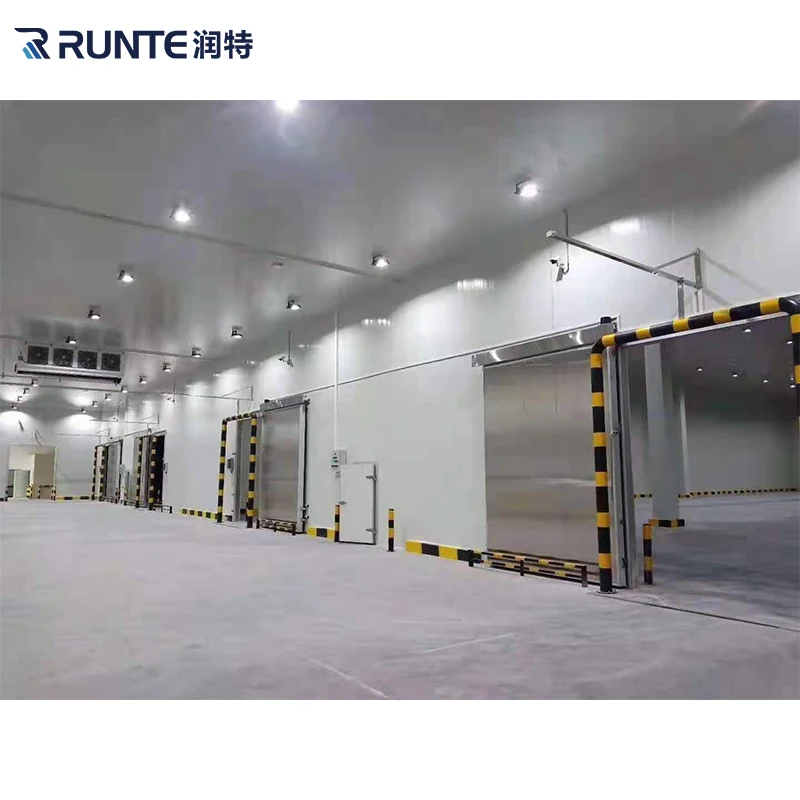 Runte Cooler Freezer Cold Room Cold Storage for Meat Fish Ice Vegetable Fruit Chicken