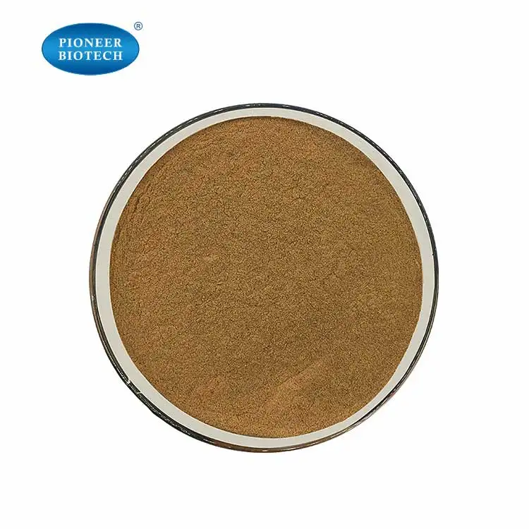 High Quality Milk Thistle Extract 80% Silymarin Liver Protection Silybum Marianum Extract Brown Powder