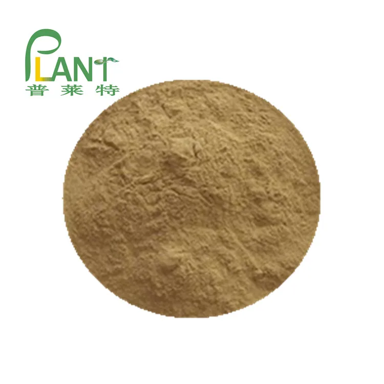 
Manufacturer Nopal Cactus Powder 25kg 