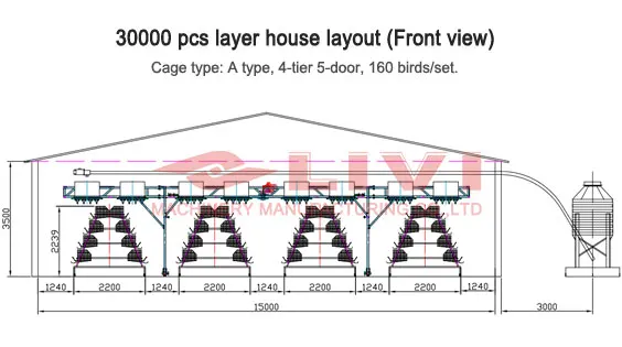chicken equipment for sale in south Africa 30,000 layers project design layer chicken cage
