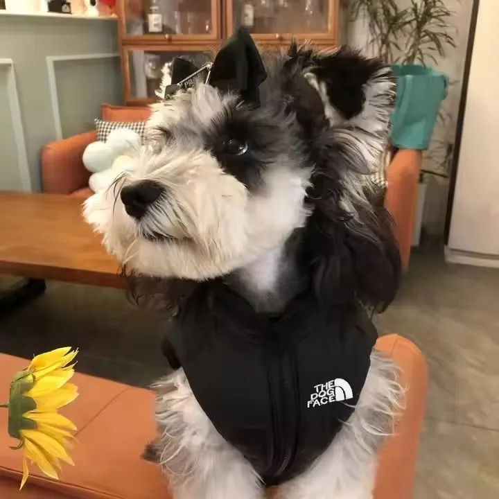 Luxury Designer Dog Jacket Waterproof Dog Coat Babies Clothes Winter Warm Pet Clothes Pet Dog Down Vest