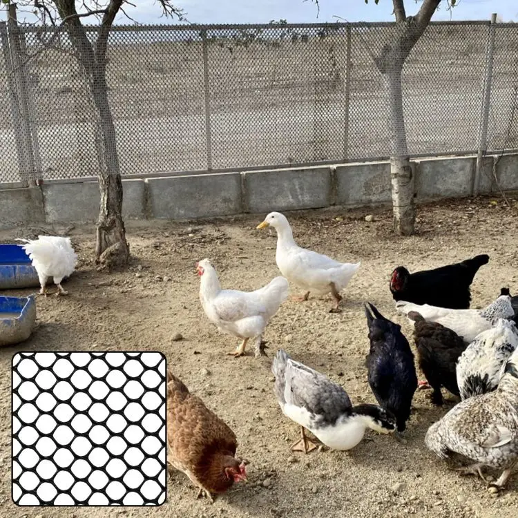 Robust Colored Hexagonal Plastic Mesh for Temporary Garden Fencing to Protect from Yard Poultry and Pests