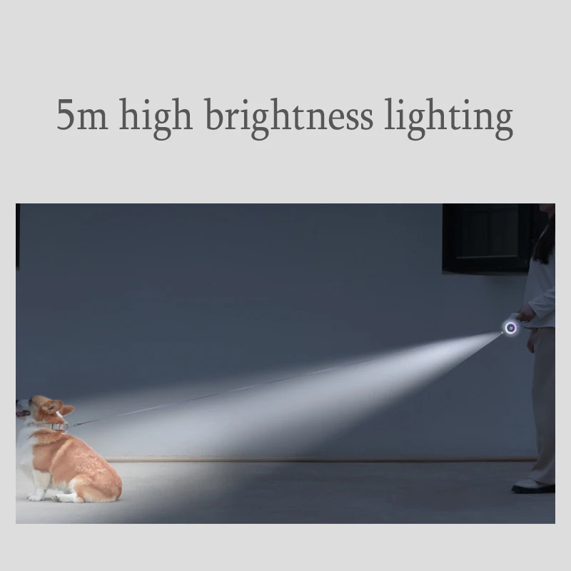 High Quality Heavy Duty Nylon Rope Luminous Double Sided RGB Lights Dog Pet Leash With Bright Flashlight