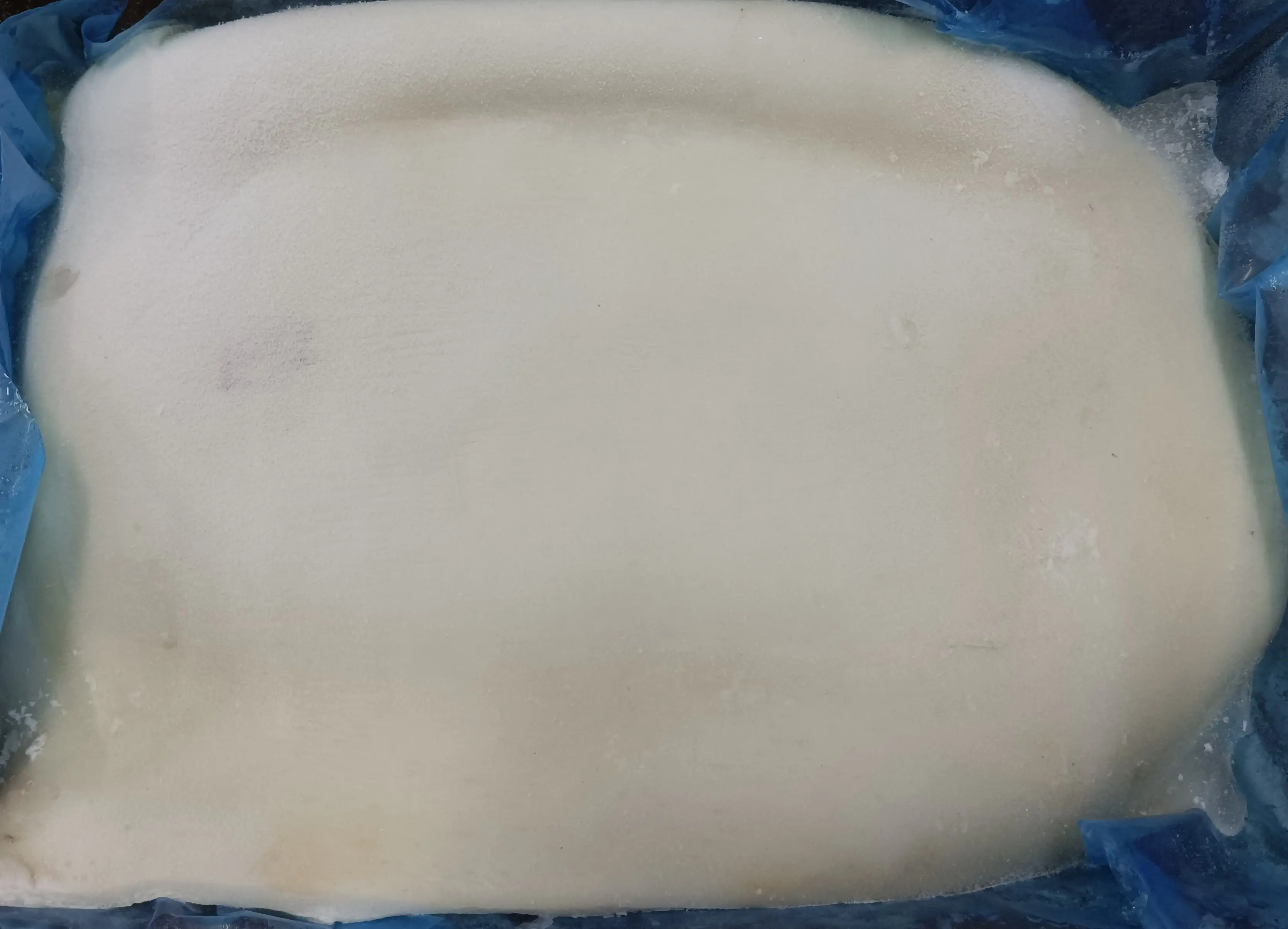 New arrival frozen giant squid skin on  fillet giant squid meat raw material giant squid fillets