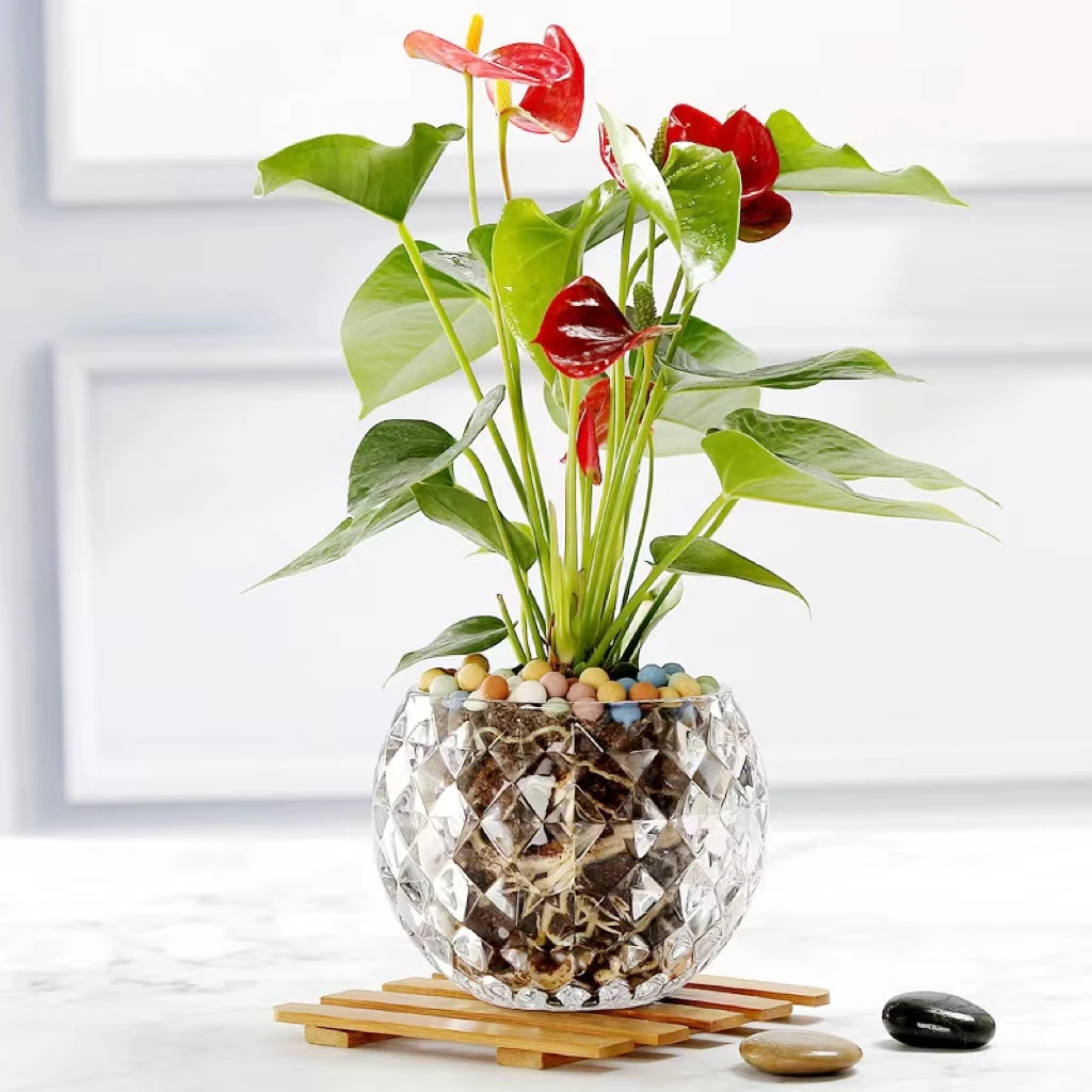 Crystal Ball Lensball Clear Glass Diamond Dot Leaf Square Surface Votive Tealight Candle Holder Home Decoration Candlestick