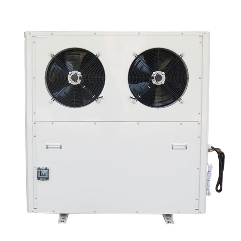 R410a/R32 Evi Technology Heat Pump Air Source Heat Pump Efficiency At Low Ambient Heating Bomba De Calor R290