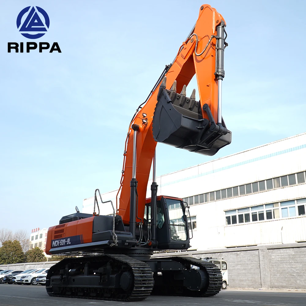 Rippa Excavator Manufacturer 20 Ton 30 Ton Big Large Digger Excavator