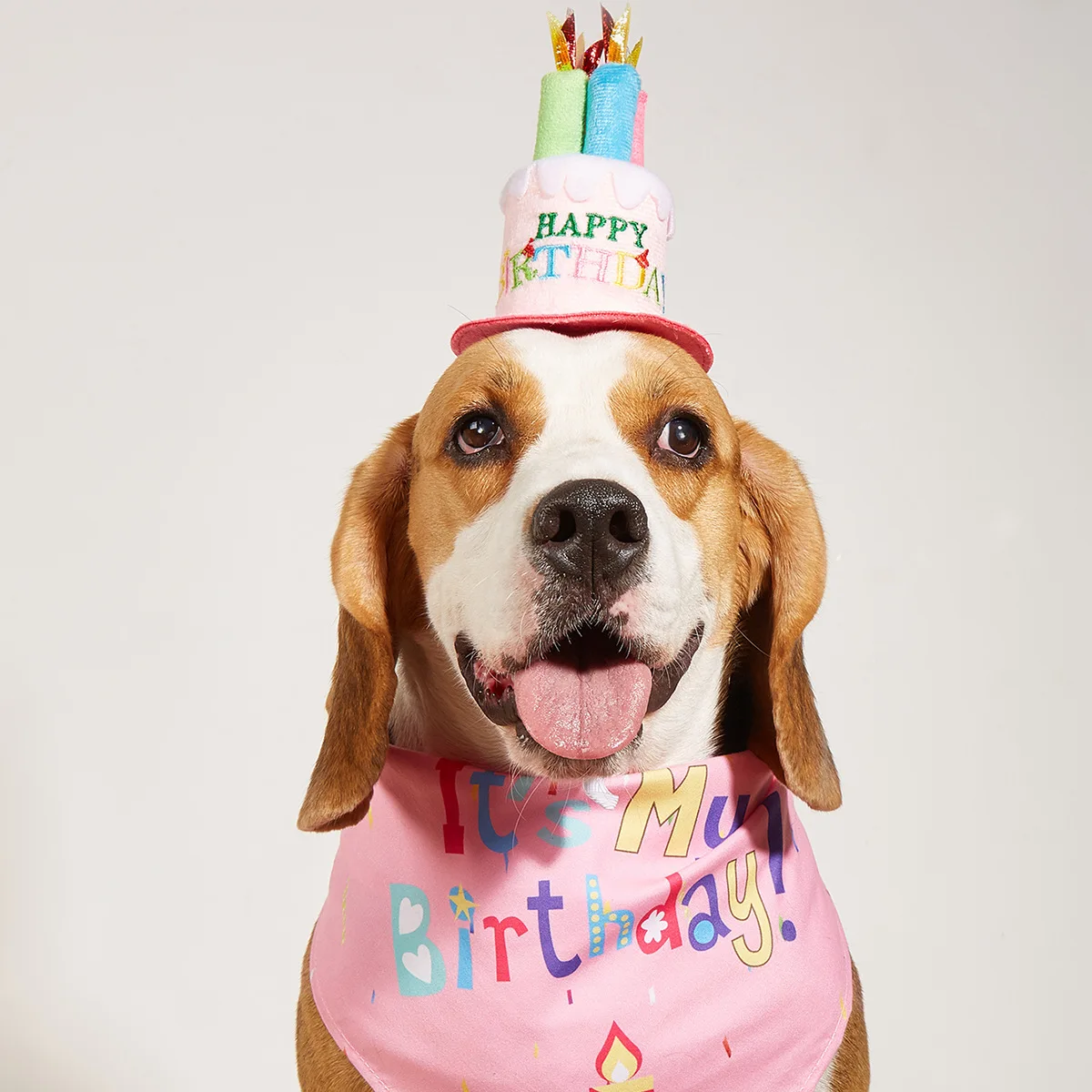 Custom Dog Bandanas With Logo Dog Triangle Towel Birthday Drool Towel Dog Birthday Bandana For Party Hats Pet Accessories