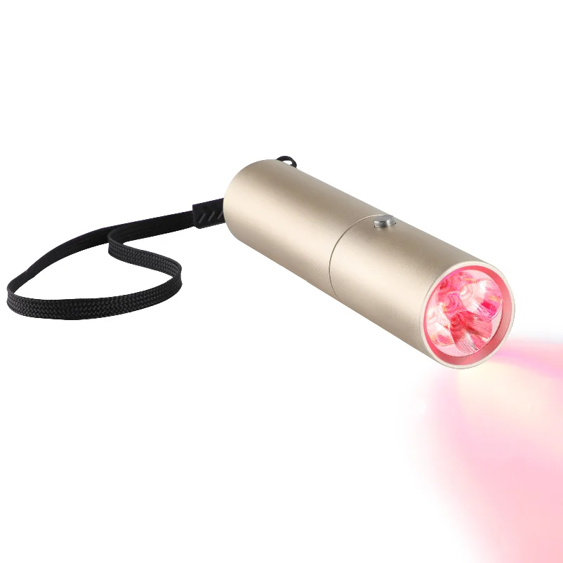 Professional Mini Red Light Therapy Wavelength Near Infrared Lamp Physiotherapy Torch Phototherapy Device Pen Infra Photon Led