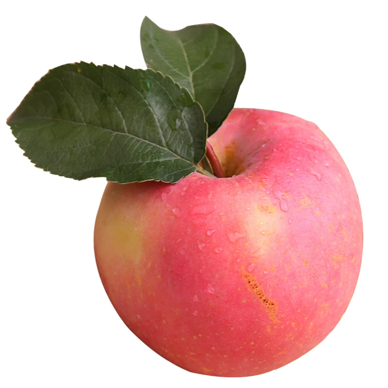 
High quality hot sale good taste fresh apple cheap apple fruit price 
