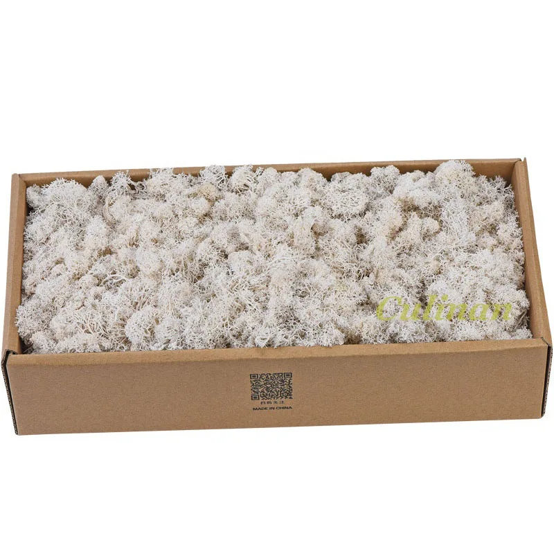 High quality China natural moss wall eternal dried preserved moss