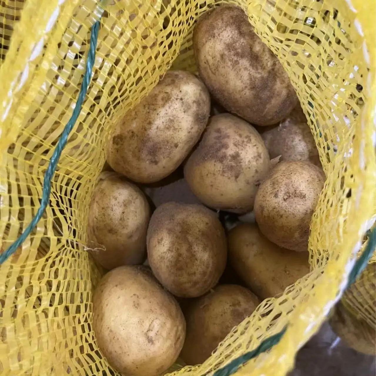 China New Harvest Fresh Organic Yellow Potato Best Price Factory Whole Round Seeds