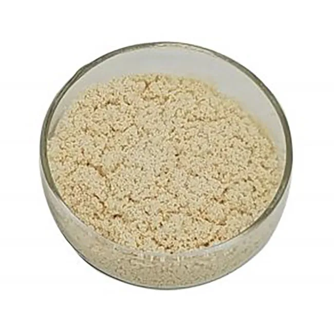cheap Indion Cationic Water Softening Resin