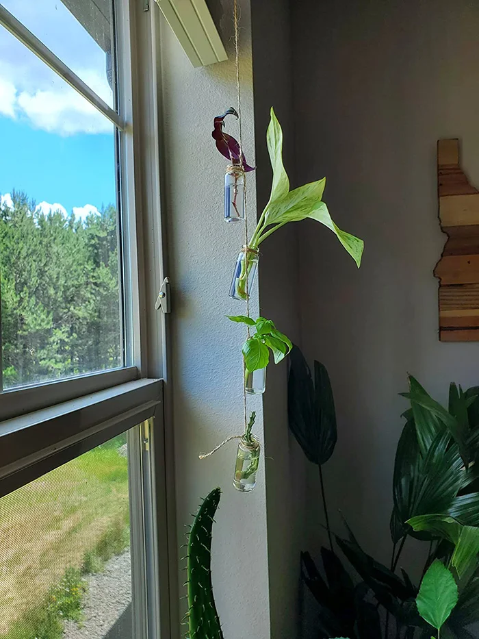 Spot 30mm Diameter Mini Glass Bottles Cork Tops for Camping Project Arts & Crafts Jewelry Stranded Island Message Wedding Wish